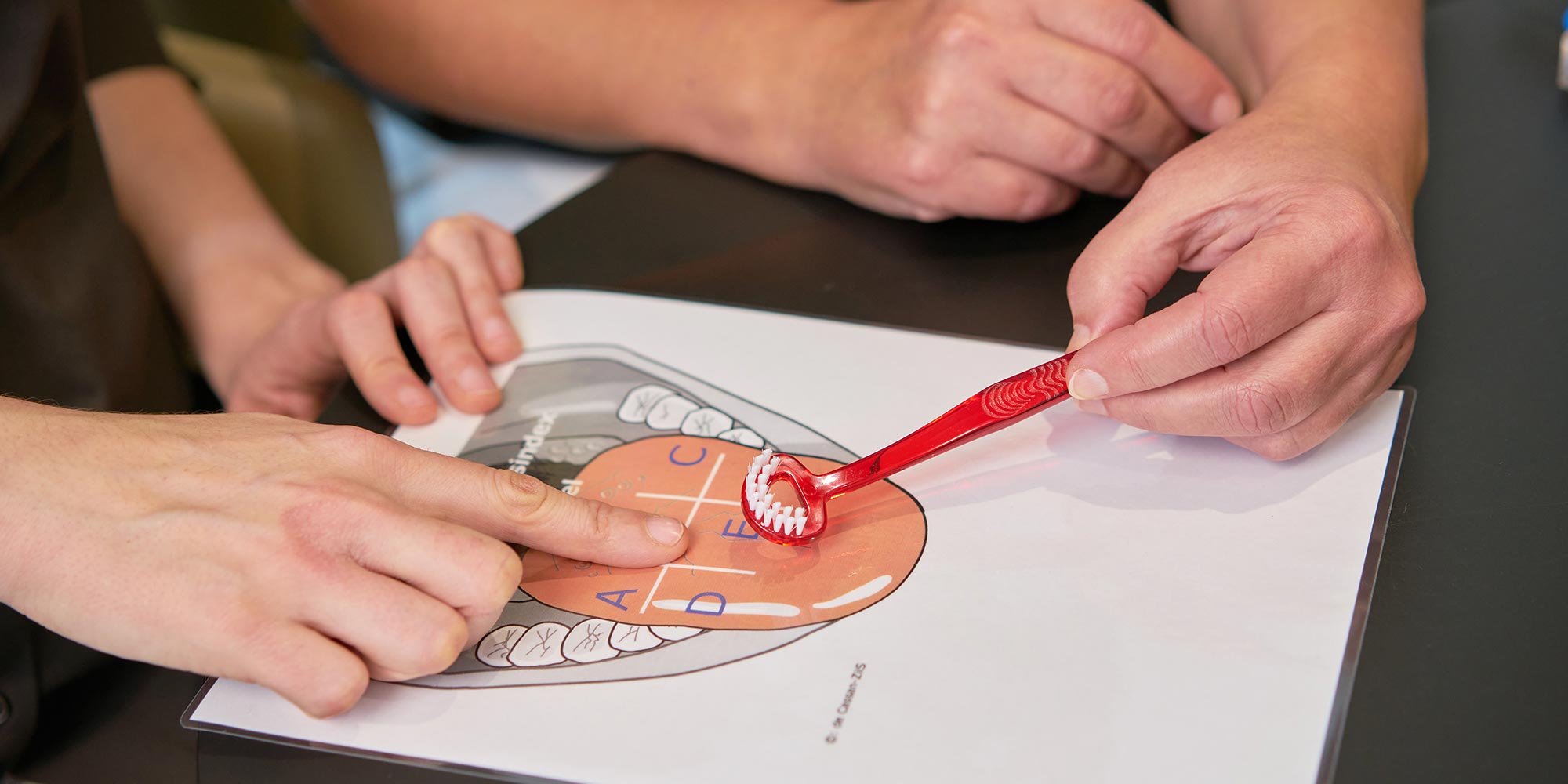 Zahnarzt erklärt Zungenreinigung mit Modell und Zahnbürste